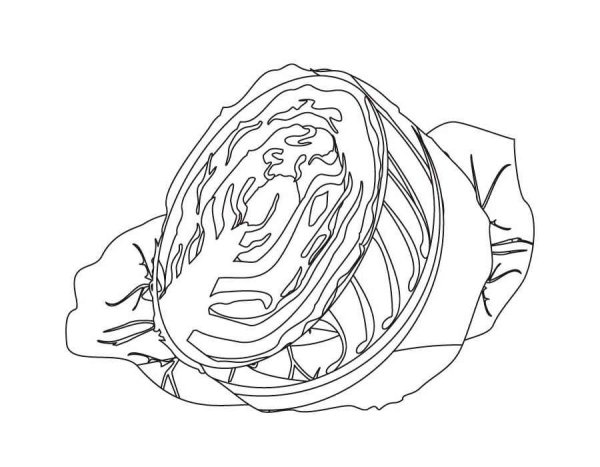 Капуста карандашом