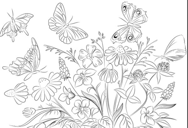 Раскраски цветов и бабочек
