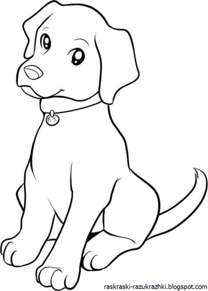 Нарисовать собаку