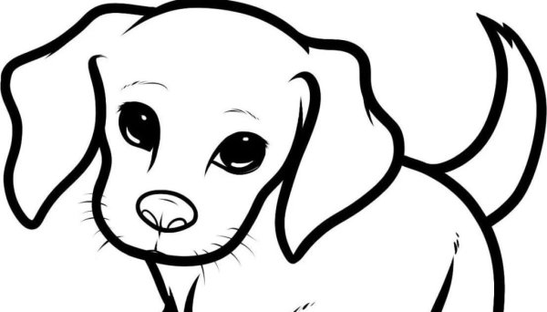 Поэтапное рисование собаки для детей