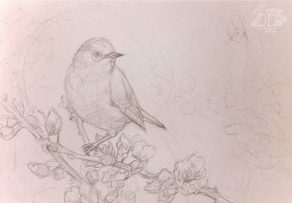 Птица на ветке карандашом