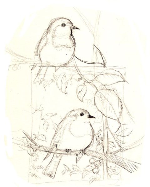 Птица на ветке карандашом