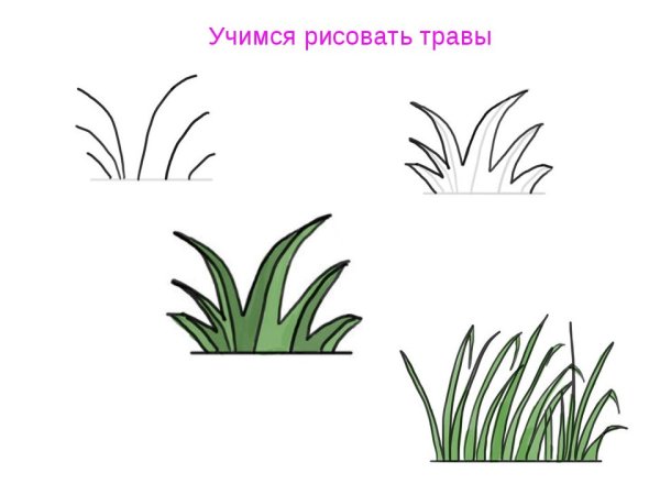 Эскиз кустарника