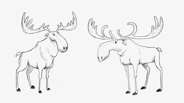 Лось рисунок для детей