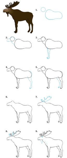 Поэтапное рисование лося для детей