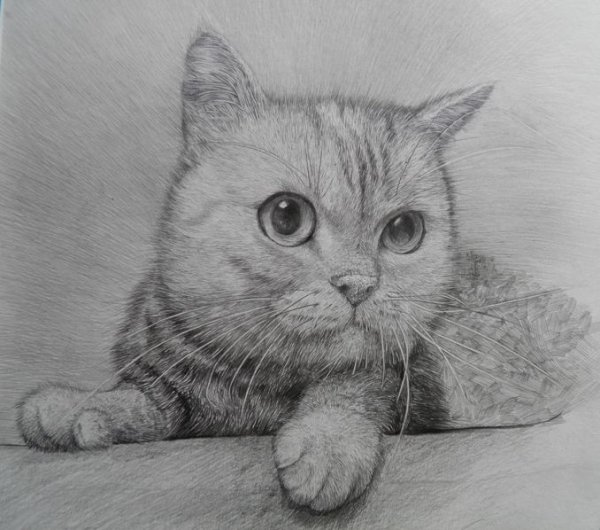 Рисование чернографитными карандашами