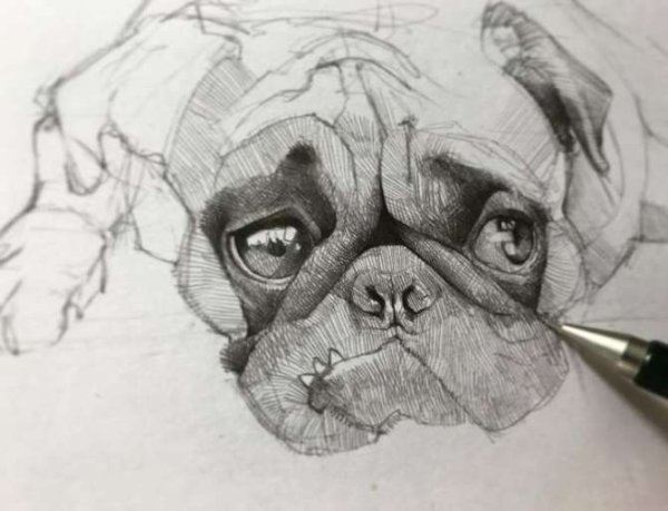 Карандаш для глаз