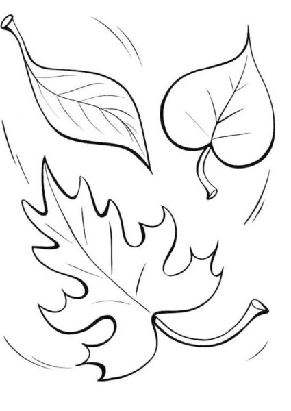 Осенние листья рисунок карандашом