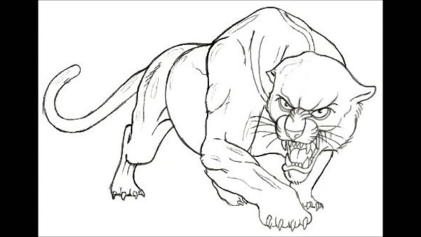 Пантера раскраска для детей