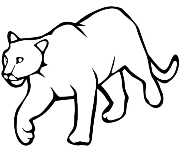 Как нарисовать пантеру