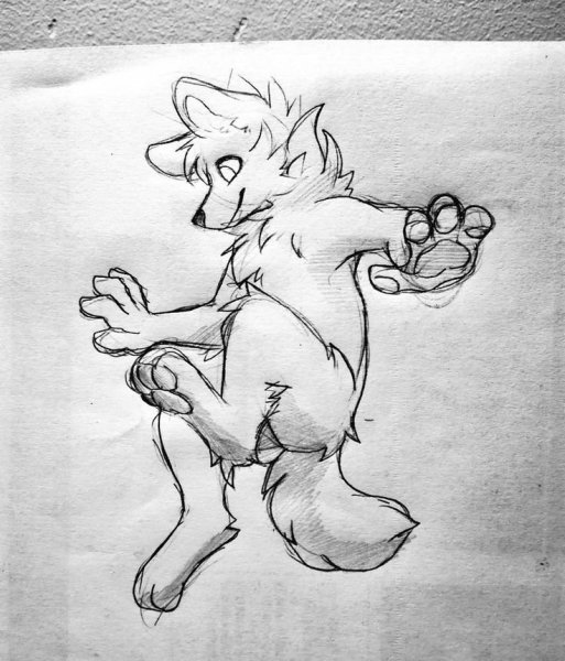 Лайны фурии