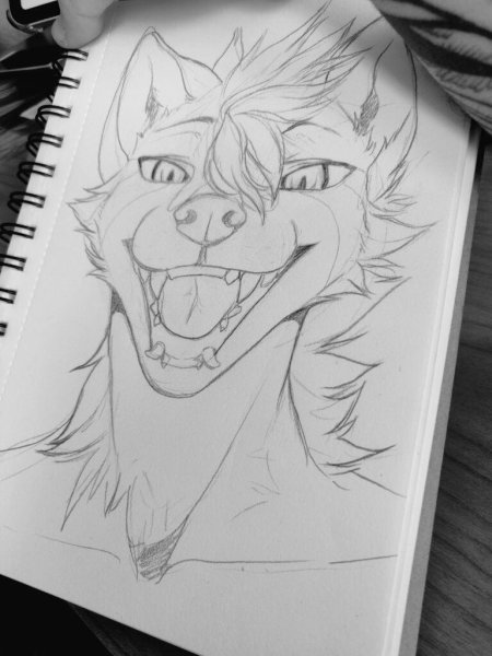 Наброски для рисования фурри