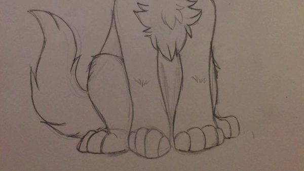 Зарисовки для рисования фурри