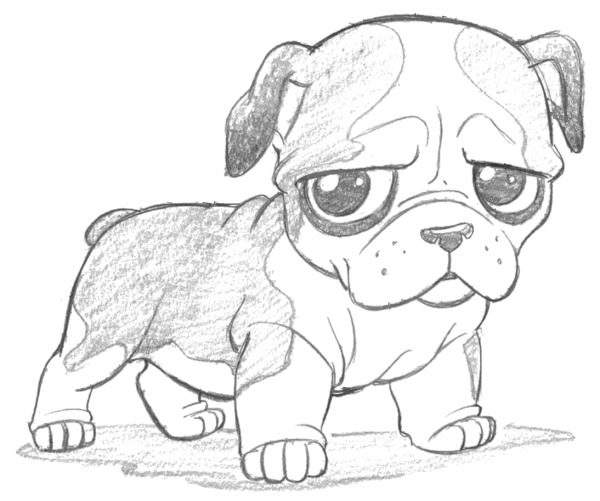 Рисунки карандашом для срисовки