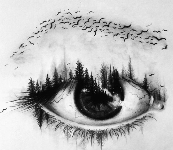 Эскизы глаз карандашом