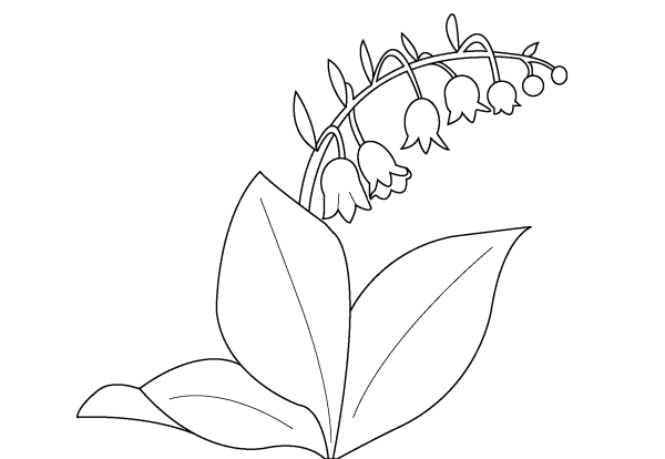 Разукрашка цветы ландыша