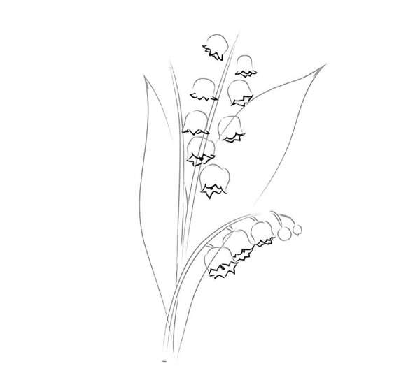 Ландыш Майский