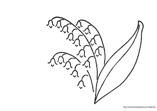 Как нарисовать Ландыш Майский