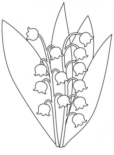 Ландыш Майский печатать