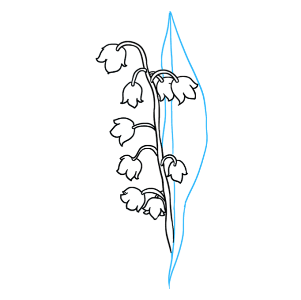 Ландыш рисунок карандашом для детей