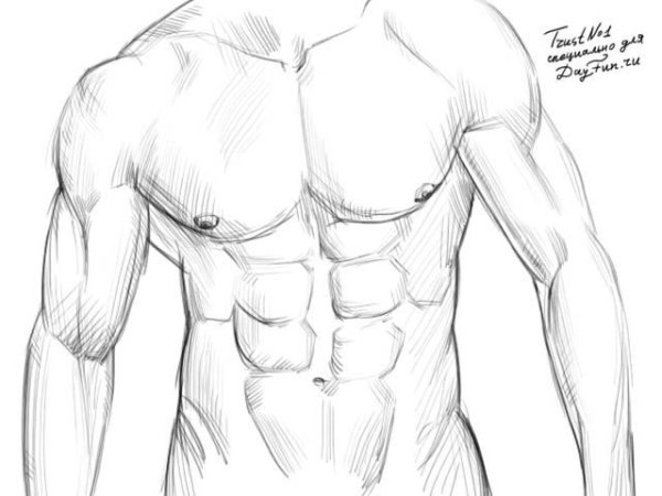 Мужское аниме тело для рисования