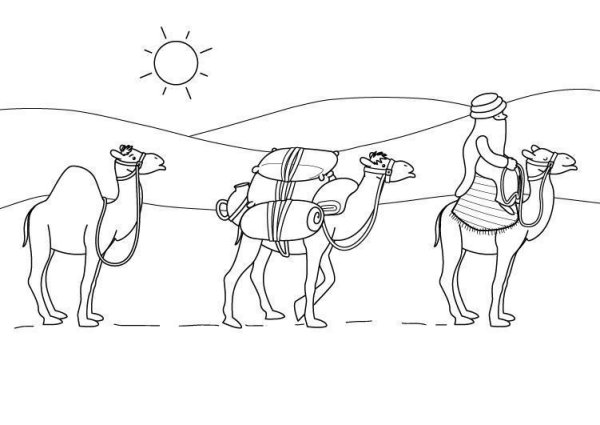 Кактус в пустыне раскраска