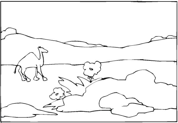 Раскраска пустыня для детей