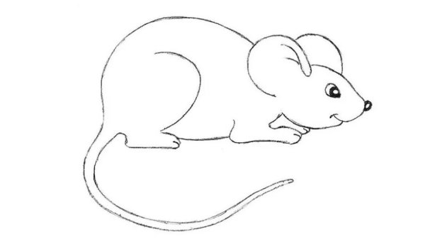 Рисунок мыши для срисовки