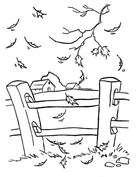 Осенний пейзаж раскраска