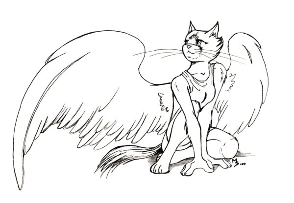 Раскраски котов с крыльями