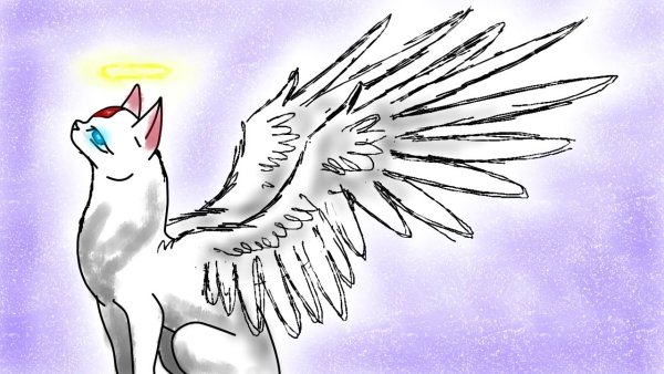 Котики с крыльями карандашом