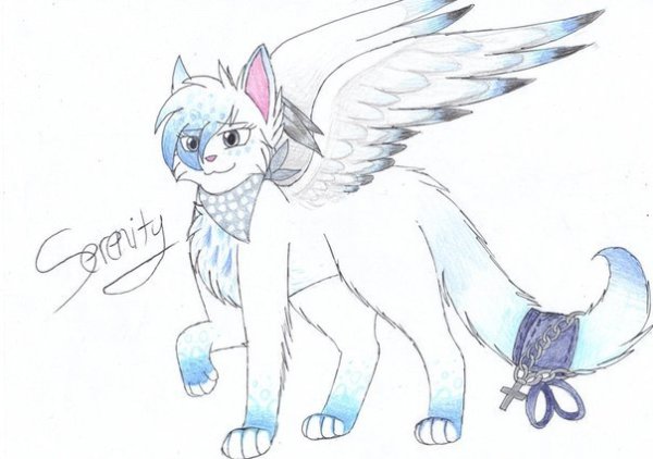 Коты Воители кошка с крыльями