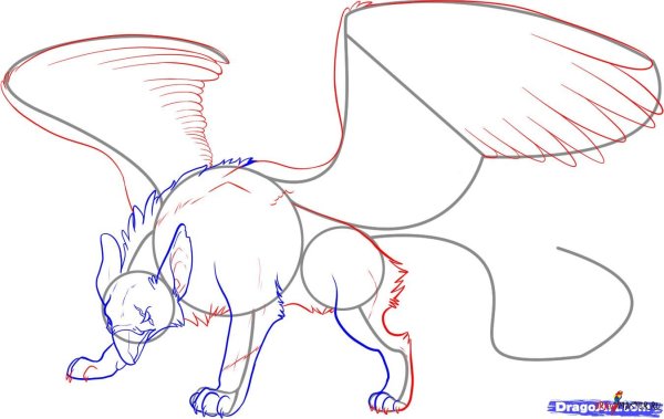 Волки с крыльями