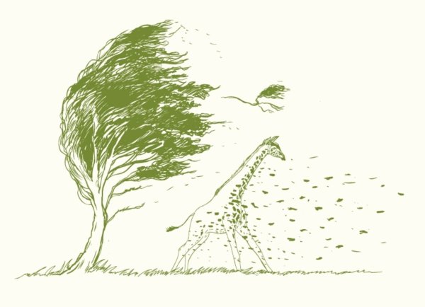 Трава карандашом