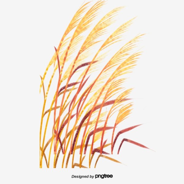 Поле карандашом