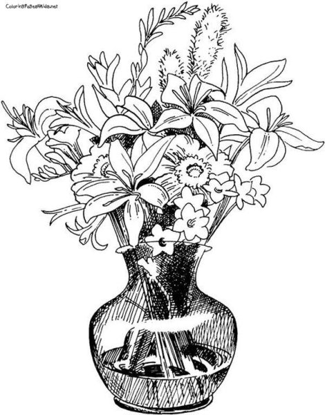 Наброски цветов в вазе