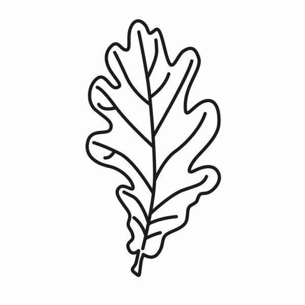 Дубовый лист трафарет