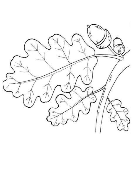 Рисунок листьев фото