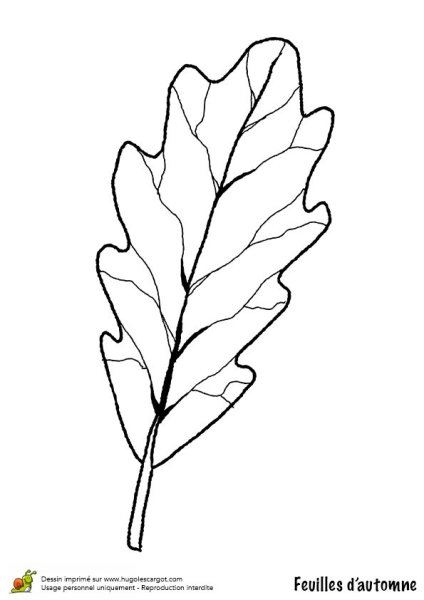 Лист дуба для раскрашивания