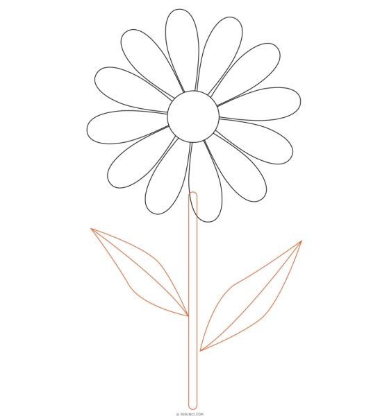 Ромашка карандашом