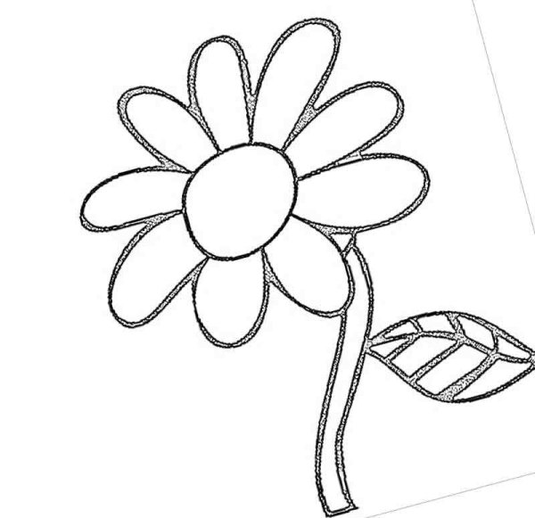 Трафарет ромашки