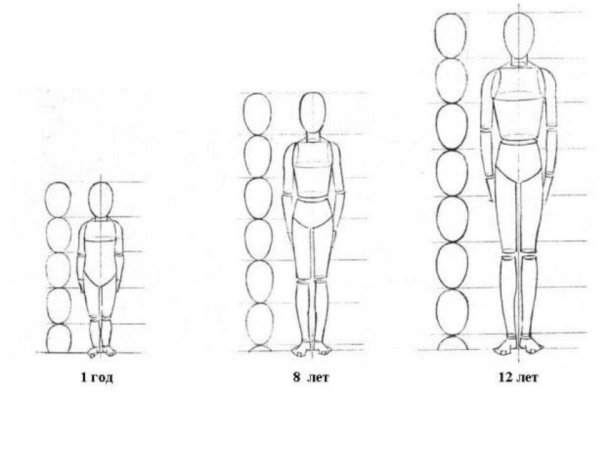Рисунок человека в полный рост