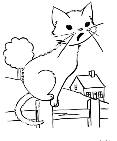 Раскраска кот