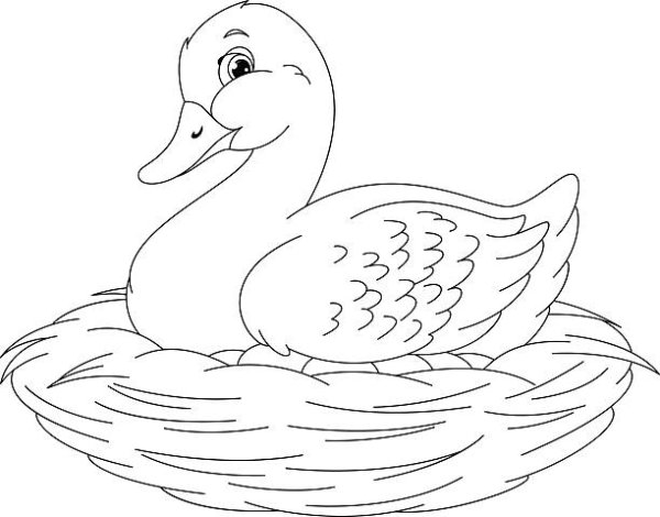 Хромка пришвин рисунок