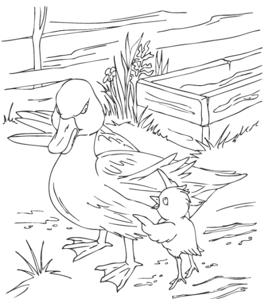 Раскраска пруд с утками