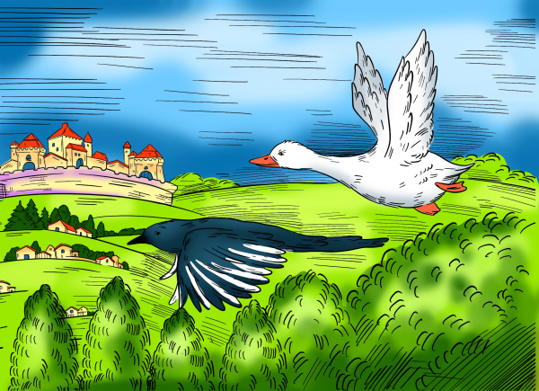 Утка с утятами раскраска для детей