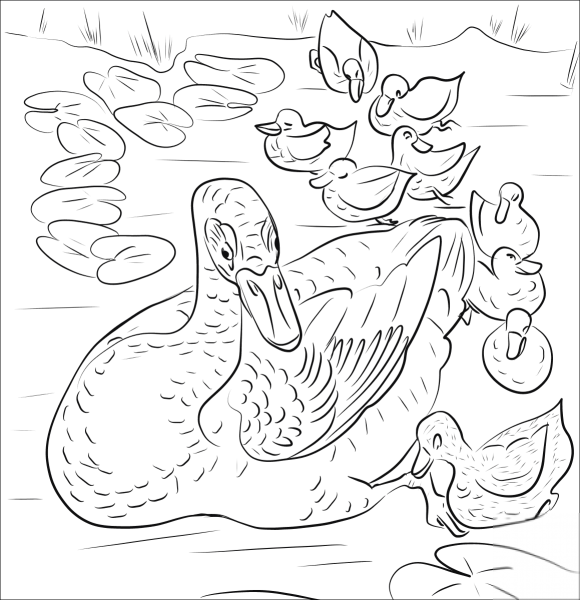 Аппликация утка с утятами