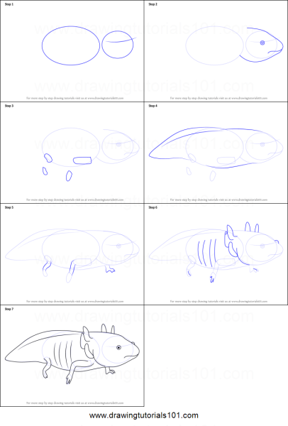 Аксолотль Бог ацтеков