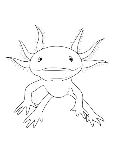 Аксолотль Кавайи Чиби