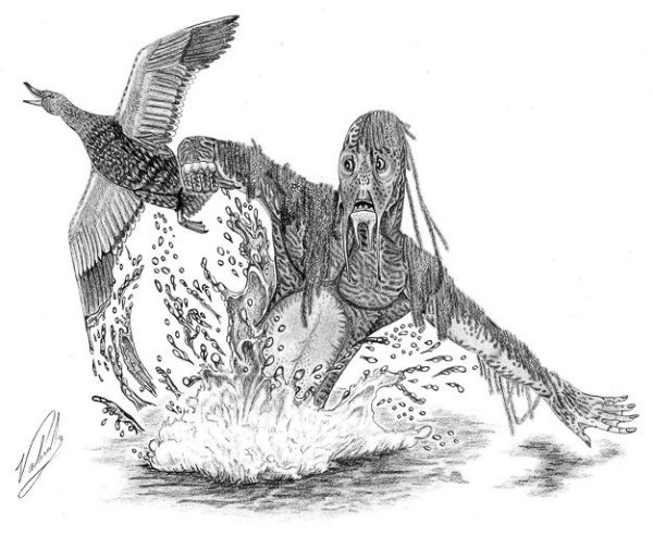 Водяной раскраска